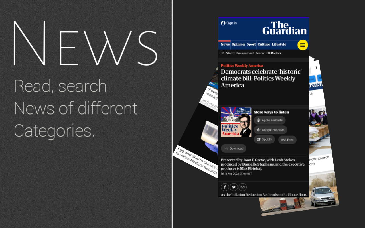 frontend web development project screenshot